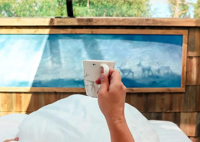 Aurora Pyramid Glass Igloos Hotel 3*